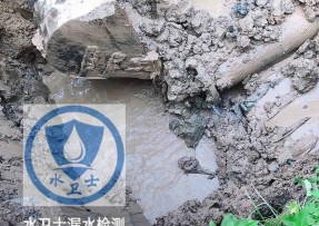 新宾水管漏水检测公司5